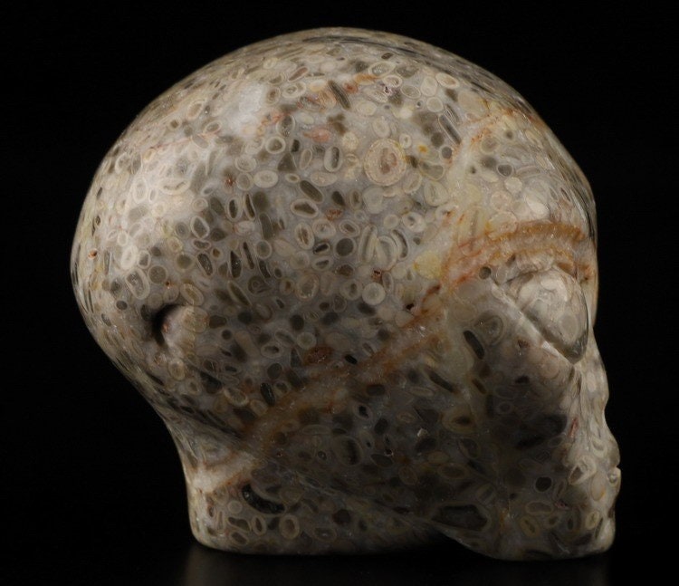 Teschio alieno in pietra con fossili di crinoidi · Pezzo unico · 50 mm
