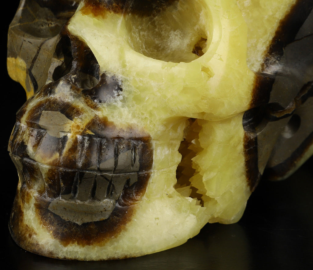 SEPTARIA Drakensteen , XL schedel van natuursteen , handgesneden Topkwaliteit , Cranio , SchÄdel , SKULL Kristallen schedel