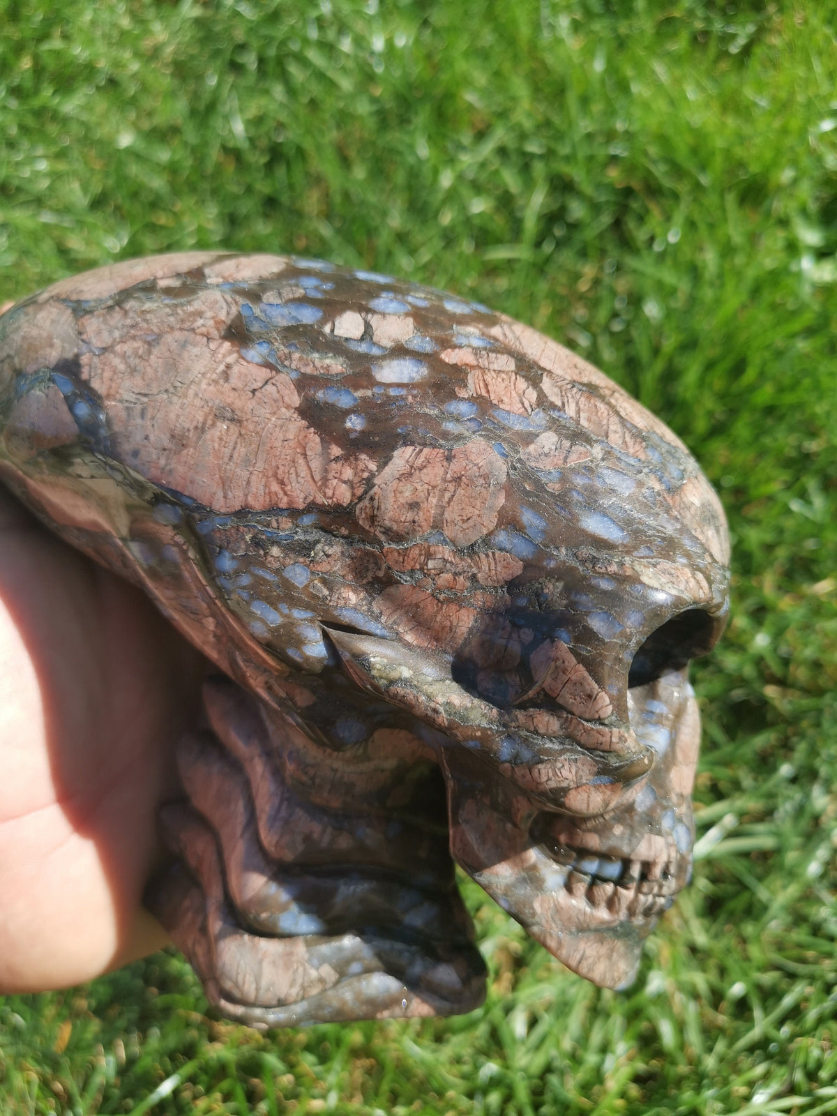 Opalenblauw; Que sera llanite, sculptuur van een langgerekt ALIEN-schedel / MAYA-reizigerschedel / lithotherapie / schedel; Cranio,
