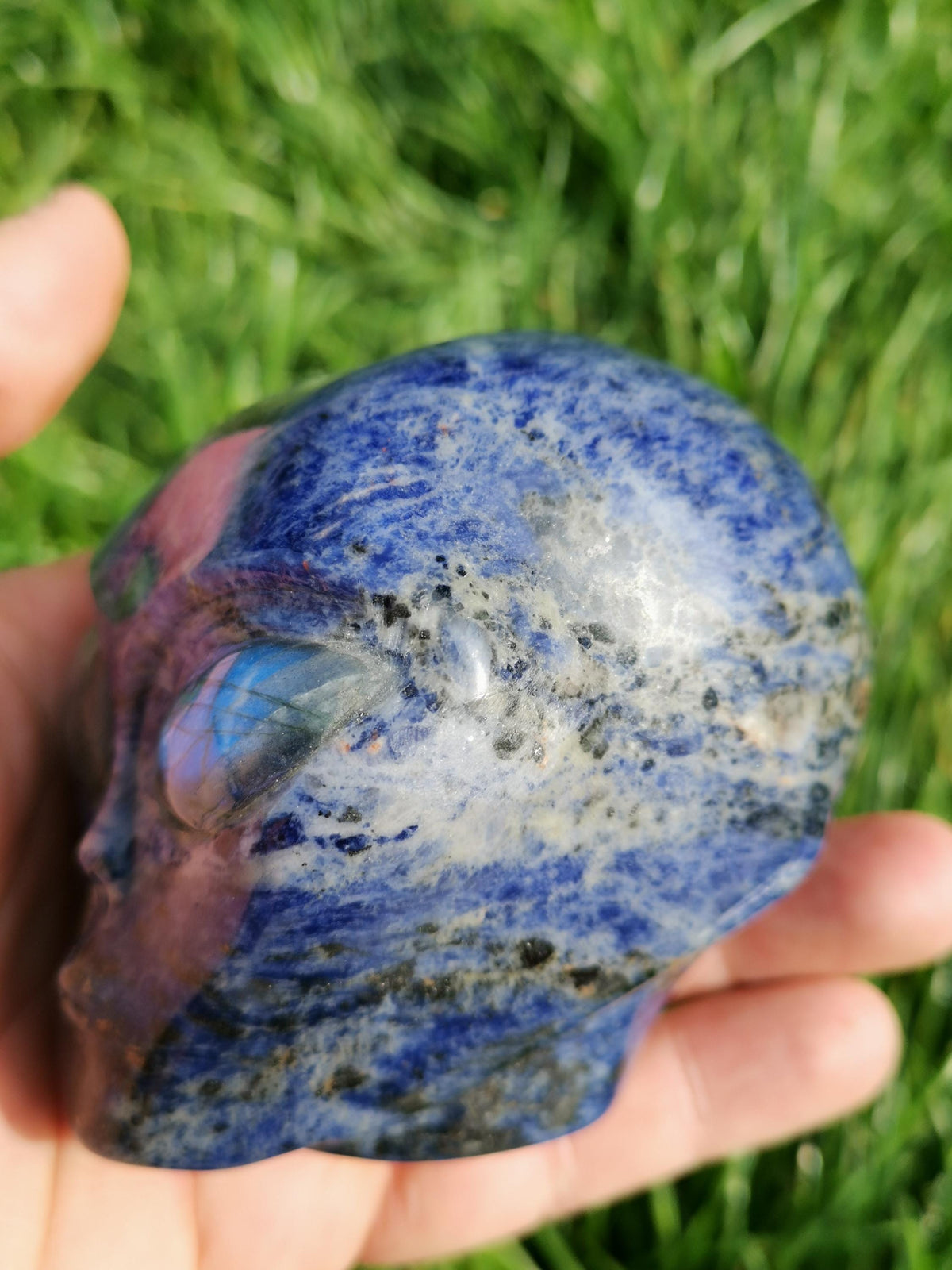 Sodalite ->  Scultura Testa extraterrestre , Tipo Roswell  / collezione / Litoterapia / Decorazione