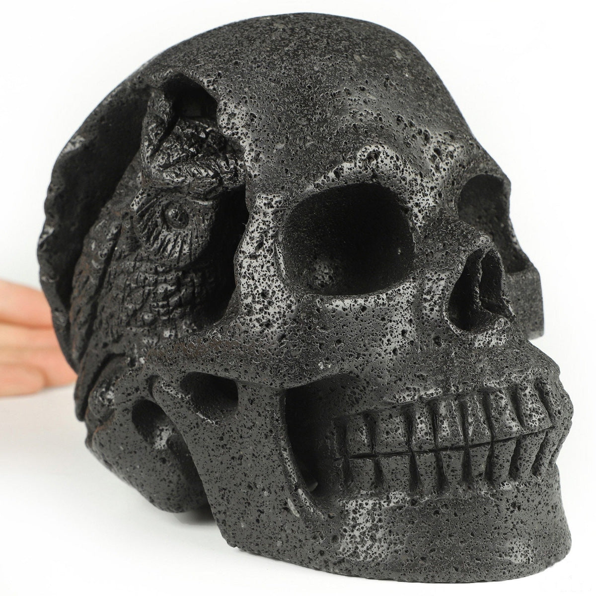 Pierre de Lave Chaude + Chouette / Crâne XXL / Pierre Volcanique de collection , Vanité , spiritualité