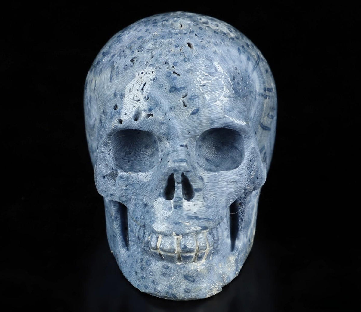 Eponge Bleu fossile très rare , Sculpture Crâne de pierre
