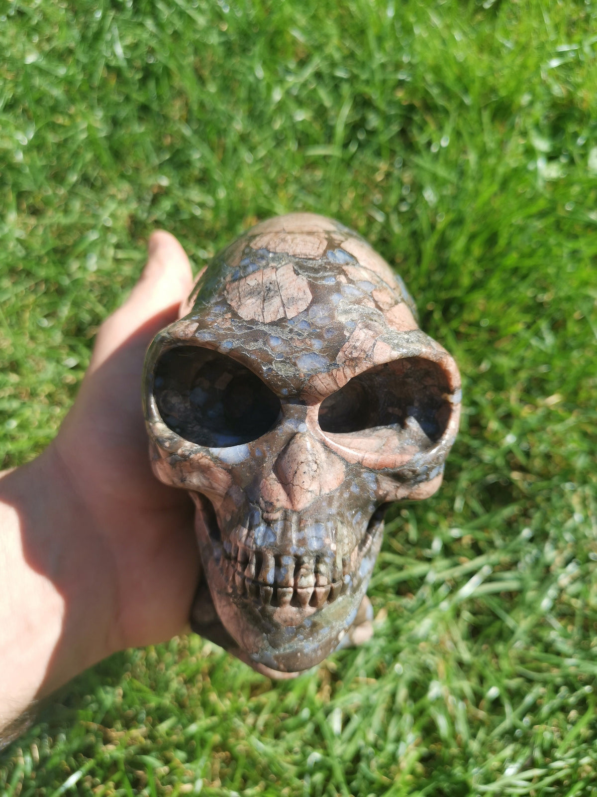 Opalenblauw; Que sera llanite, sculptuur van een langgerekt ALIEN-schedel / MAYA-reizigerschedel / lithotherapie / schedel; Cranio,