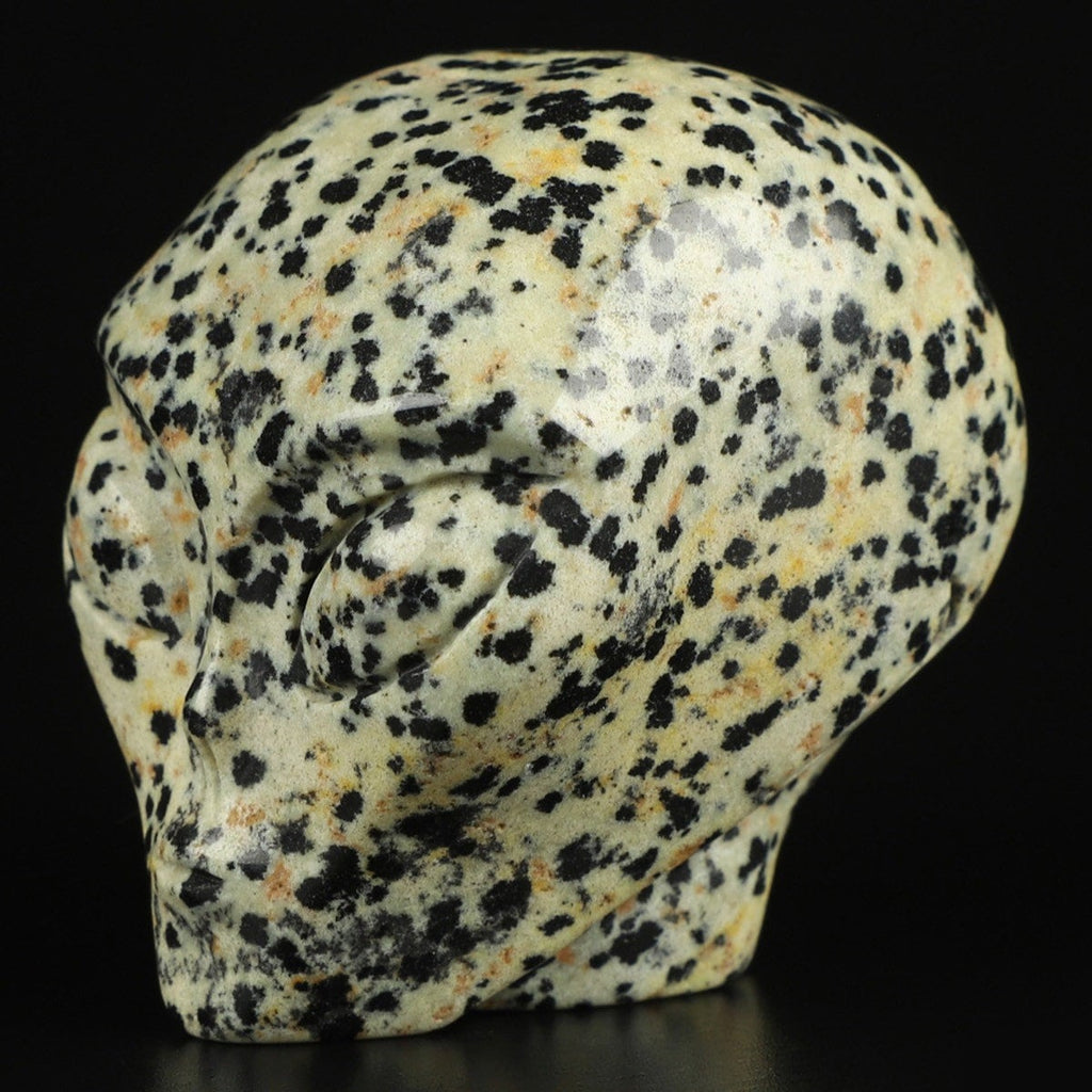 2" Jaspe Dalmatien ->  extra terrestre   Roswell /Crâne pierre naturelle de collection / décoration  Skull , Cranio , SchÄdel , Craneo