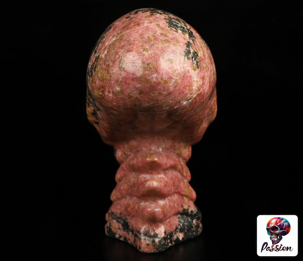 Rodoniet  6,5 inch ,  Sculptuur AALIEDEN Kristallen Schedel  / Maya Reizende Schedel / lithotherapie / Schedel ; Cranio , Kristalloden Schedel