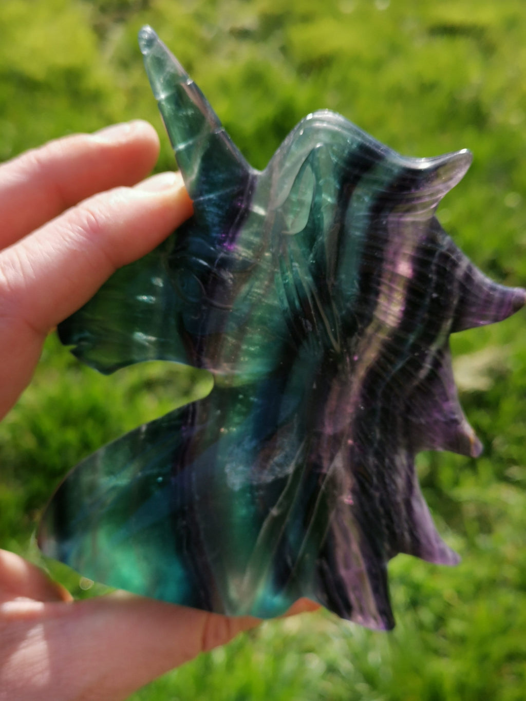 Licorne , Fluorite arc en ciel , jolie tête de 375 grammes