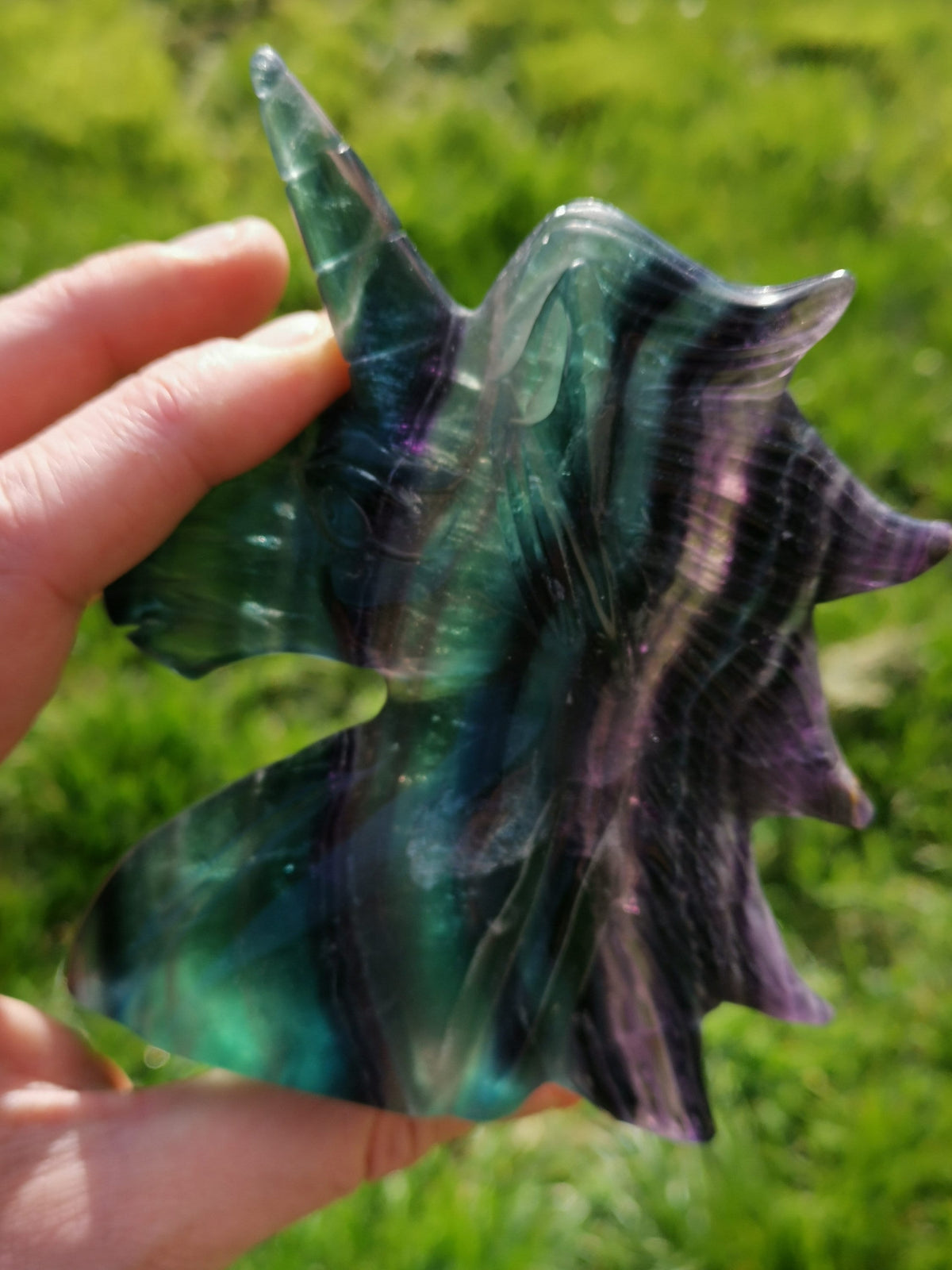 Licorne , Fluorite arc en ciel , jolie tête de 375 grammes