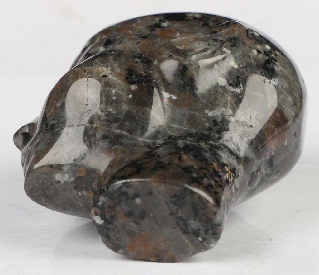 2" Yooperlite / Flamstone / Crâne de cristal de collection / Pierre précieuse /  Skull , Cranio , SchÄdel , Craneo