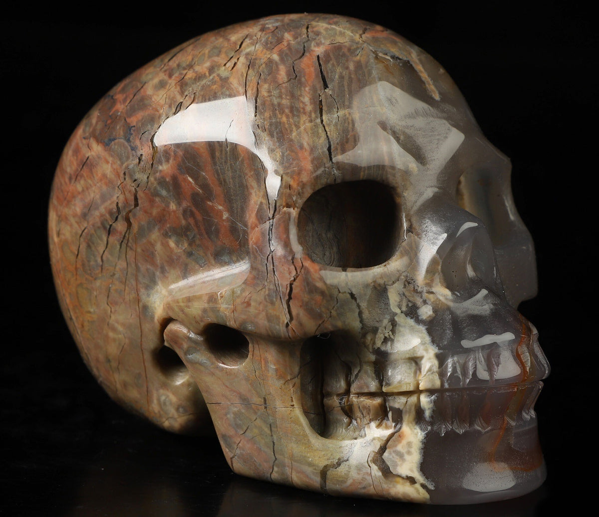 Agate known as Dinosaur Eggs, Natural Stone Skull Sculpture, Cabinet of Curiosities, Memento Mori, Vanity