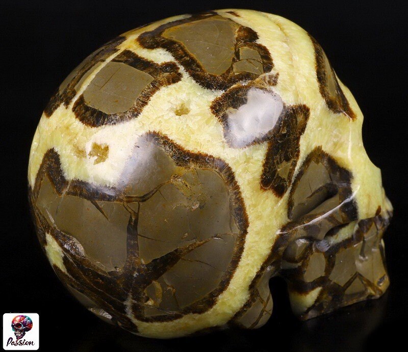 Septaria , Piedra del dragón , Gran Cráneo XL 3.8 KG , Piedra natural  / cabeza de muerto , vanidad / Memento mori