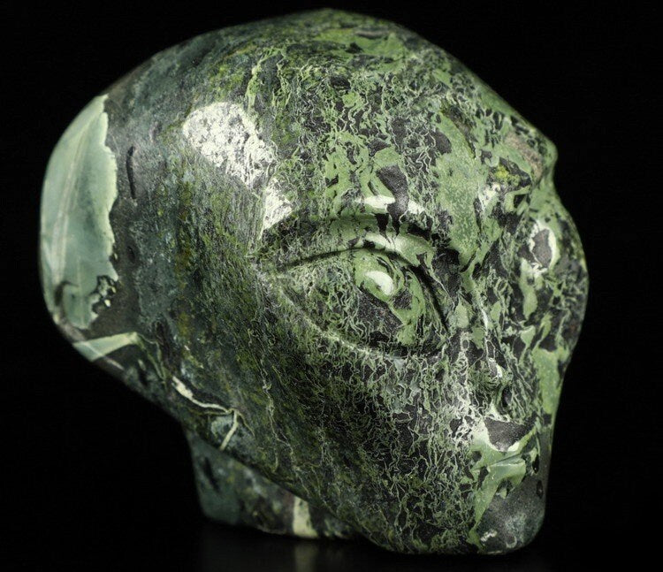 Teschio alieno in diaspro camouflage detto pelle di rana, minerale scolpito da collezione / Teschio REIKI, Cranio, SchÄdel, Cranio