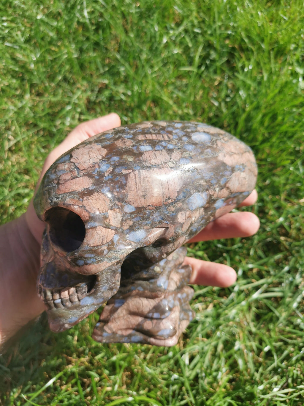 Opalenblauw; Que sera llanite, sculptuur van een langgerekt ALIEN-schedel / MAYA-reizigerschedel / lithotherapie / schedel; Cranio,
