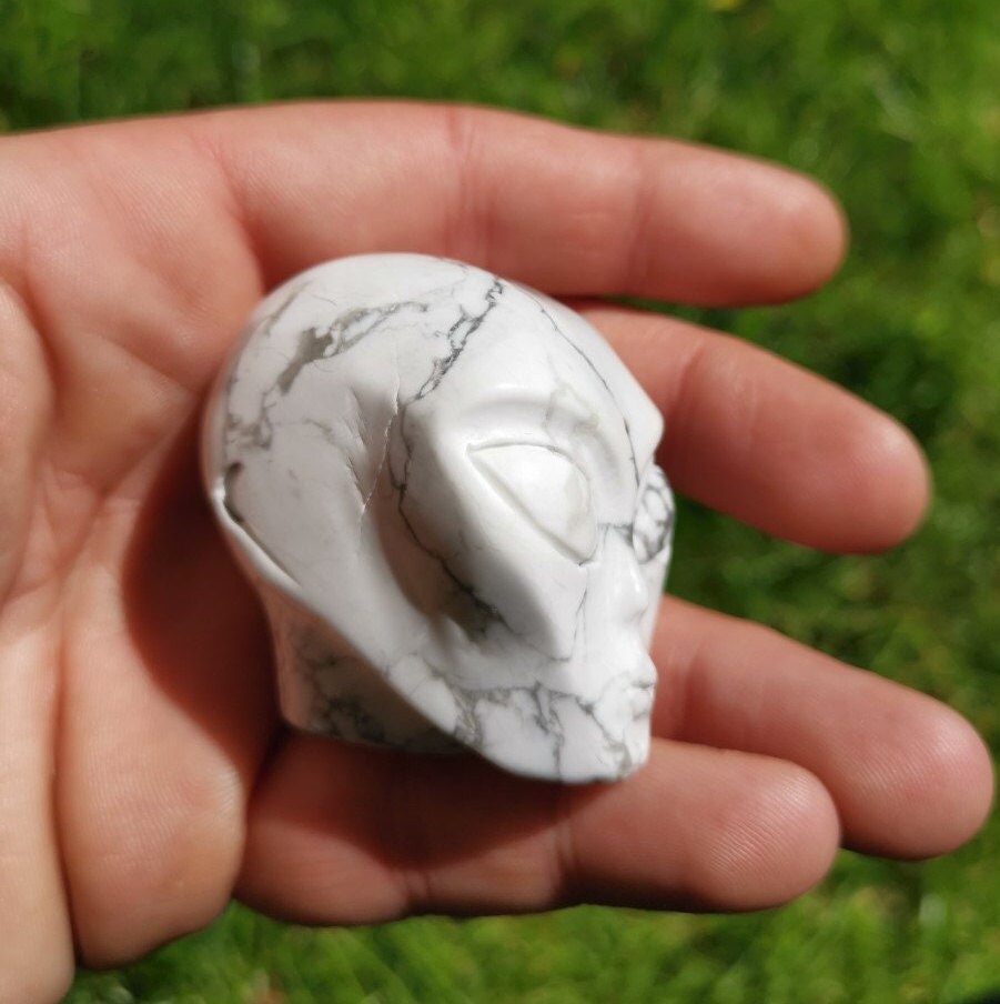 Howlite " turquoise blanche "  ALIEN  Roswell /Crâne pierre naturelle de collection / décoration  Skull , Cranio , SchÄdel , Craneo