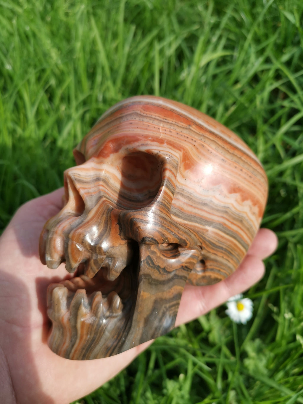Red Veined Wood-Type Calcite / Skull in Fury / collectible natural stone, Skull collector Crystal Skull