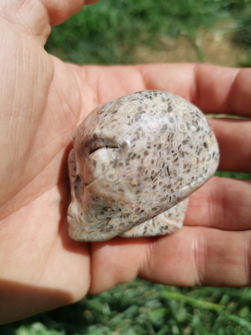 Teschio alieno in pietra con fossili di crinoidi · Pezzo unico · 50 mm