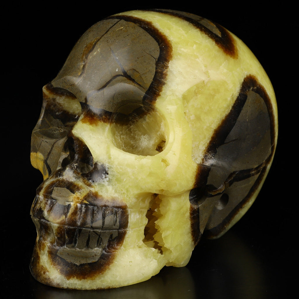 SEPTARIA Drakensteen , XL schedel van natuursteen , handgesneden Topkwaliteit , Cranio , SchÄdel , SKULL Kristallen schedel