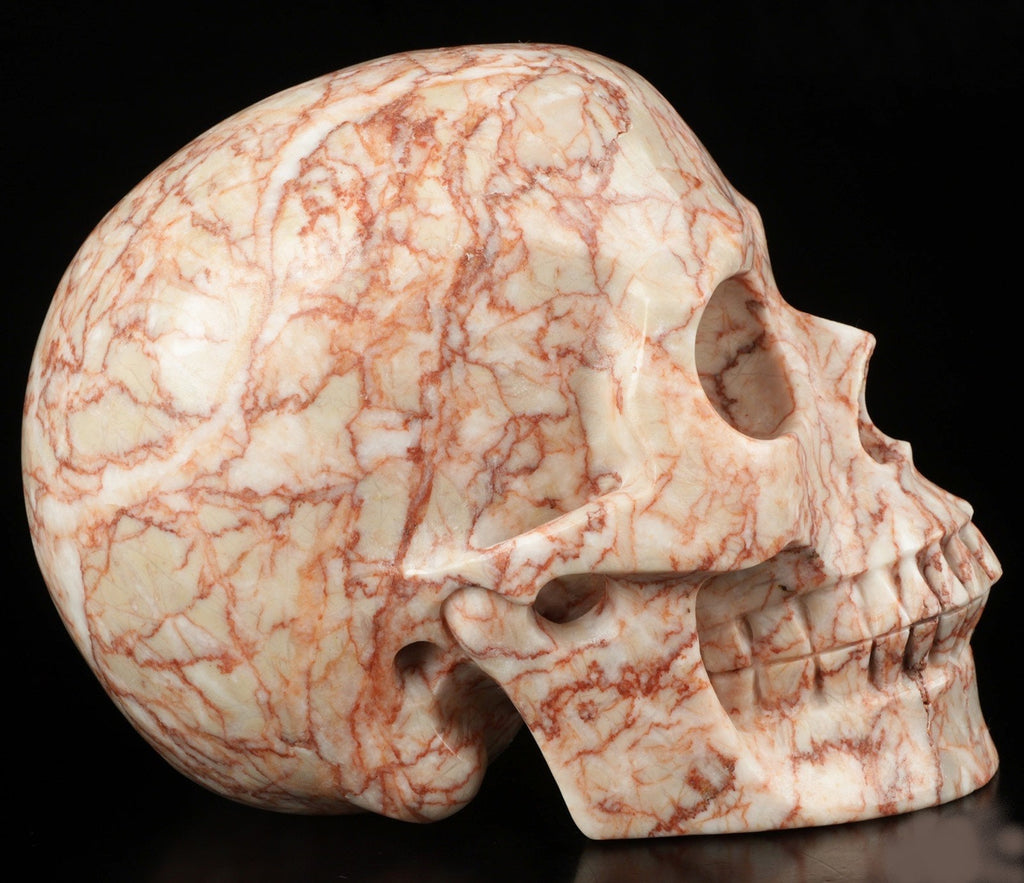 Jaspe Network nervuré rouge ,Crâne de pierre naturelle XL  / lithothérapie / méditation / Memento mori