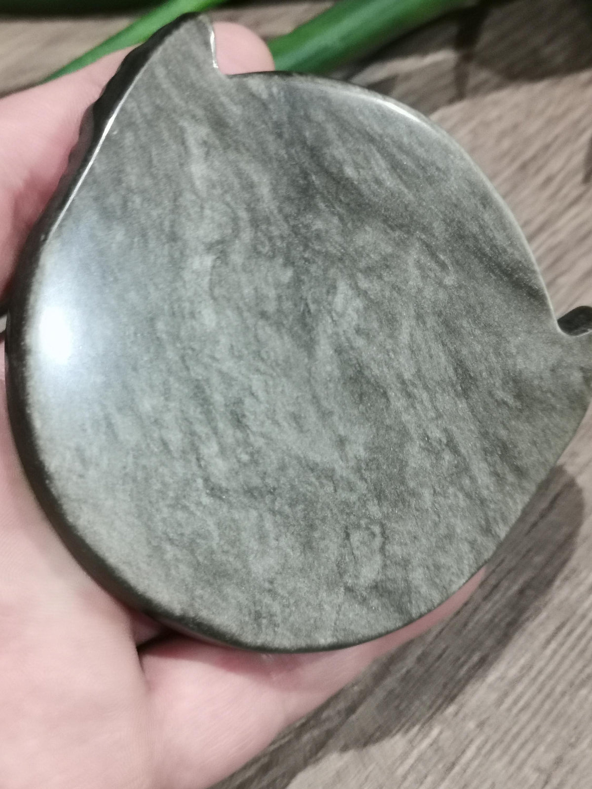 Medaillon met gevleugelde scarabee van gouden of zilveren obsidiaan uit Mexico