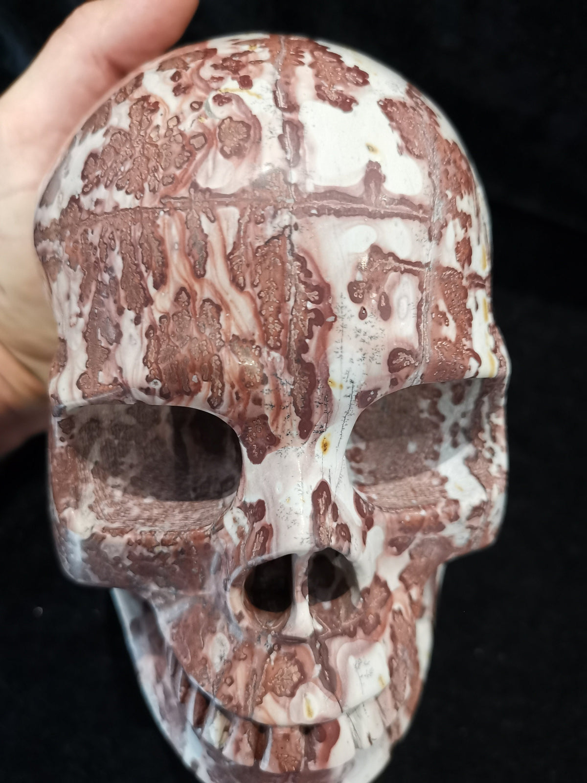 Jaspe Paysage , Sculpture Crâne XL en pierre naturelle de collection / Cabinet curiosité / Memento mori