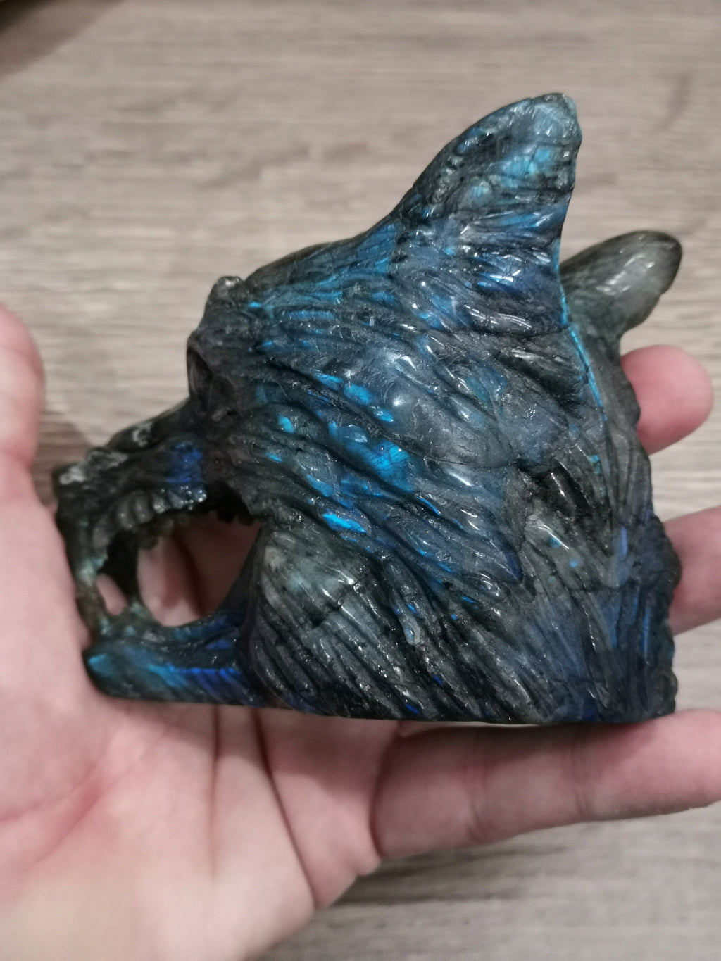 Tête de Loup féroce , Sculpture en Labradorite / Madagascar