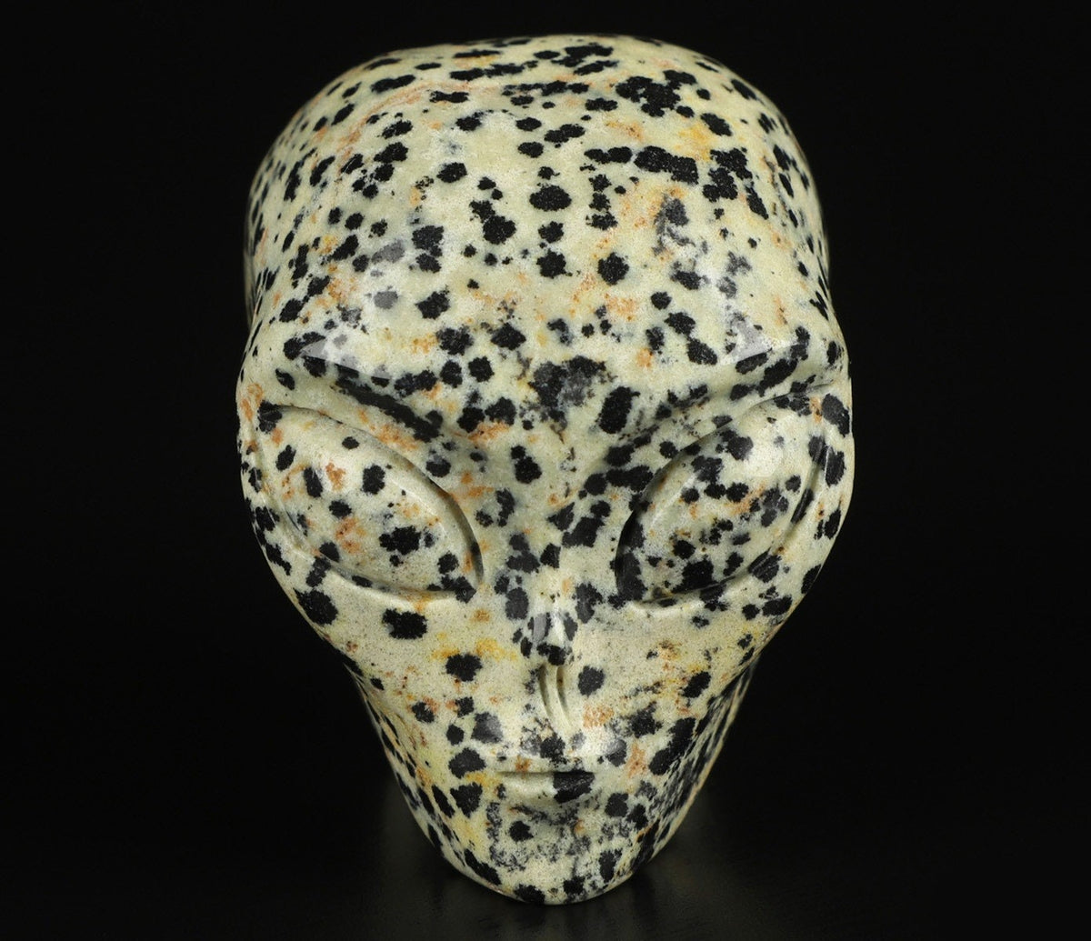 2" Jaspe Dalmatien ->  extra terrestre   Roswell /Crâne pierre naturelle de collection / décoration  Skull , Cranio , SchÄdel , Craneo