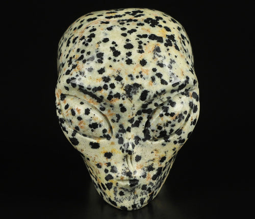 2" Jaspe Dalmatien ->  extra terrestre   Roswell /Crâne pierre naturelle de collection / décoration  Skull , Cranio , SchÄdel , Craneo