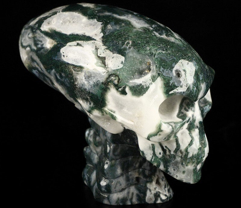 Teschio allungato «Viaggiatore Maya» in agata spugnosa acquatica · Pietra naturale XXL