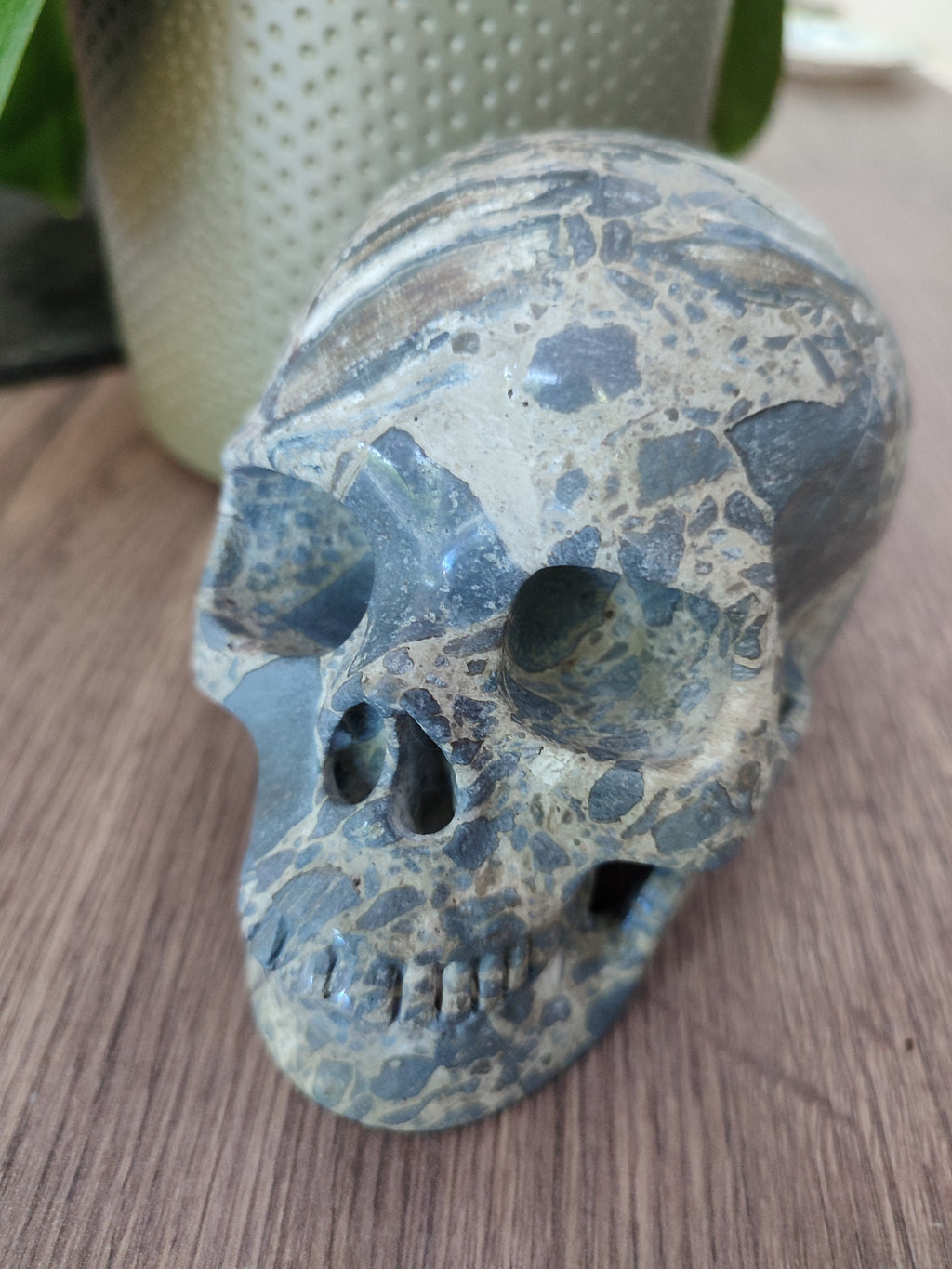 Skeletsteen Jaspeer Brecciatie uit Australië , Cranio , Schädels , Cranio , Skull , reikin Crystal Skull