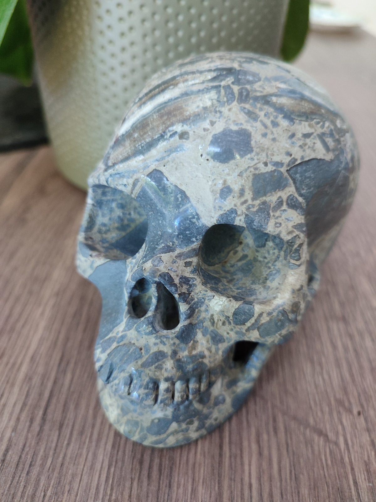 Skeletsteen Jaspeer Brecciatie uit Australië , Cranio , Schädels , Cranio , Skull , reikin Crystal Skull