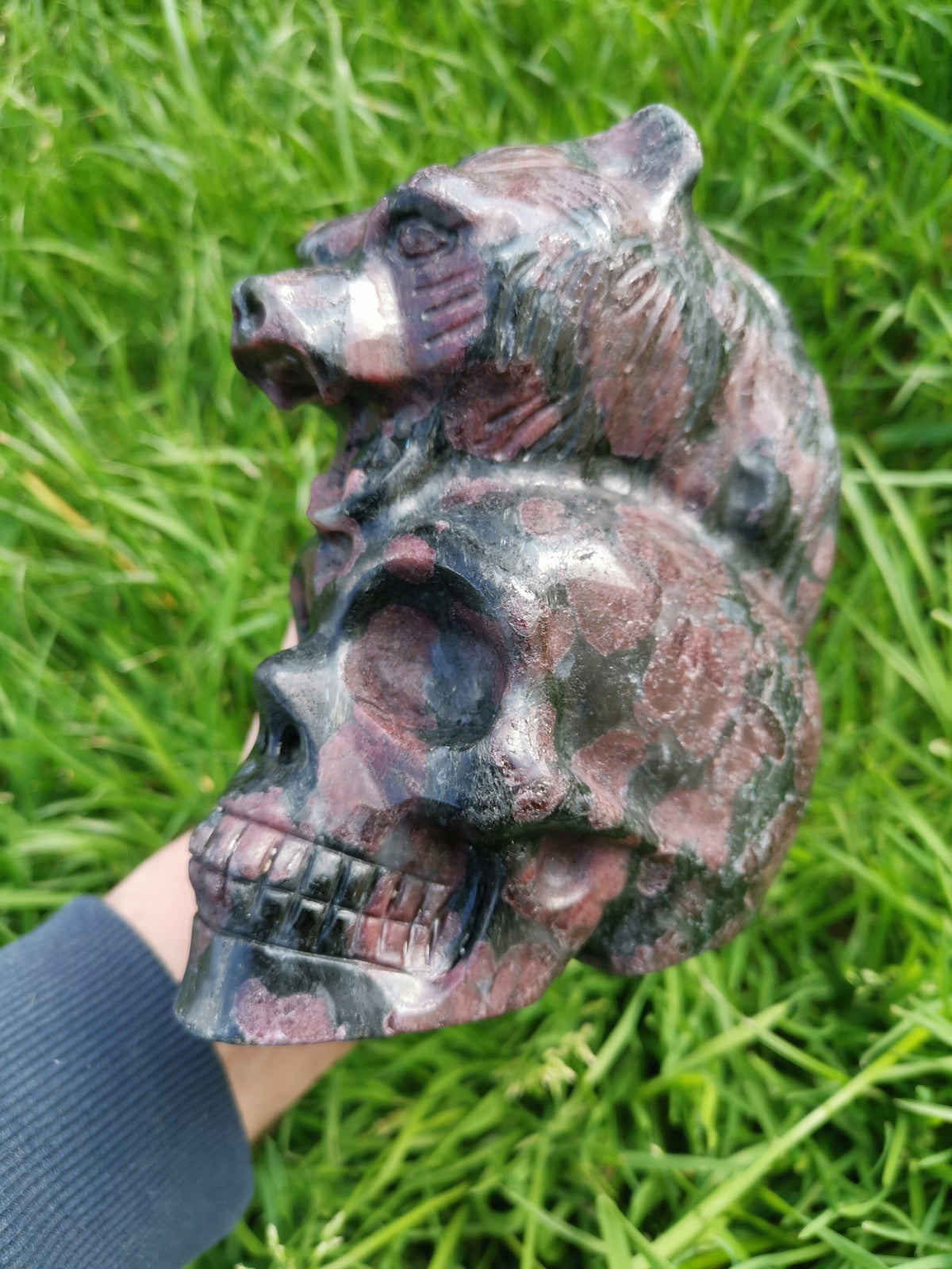 Grenat Almandin  -> pierre naturelle , Magnifique sculpture Crâne a tête d'OURS