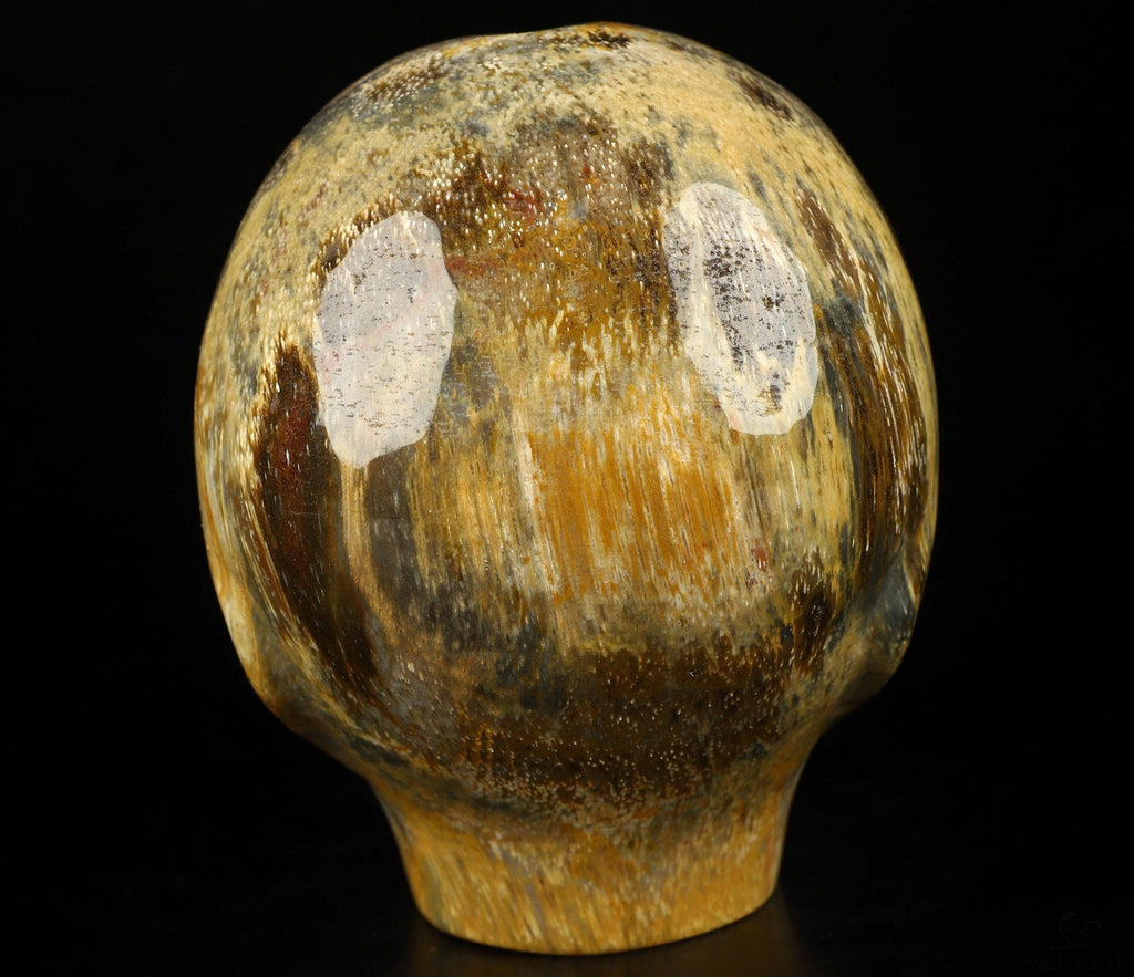 4.2" Crâne Alien pouce , Bois pétrifié / Extra terrestre Type Roswell , Skull , reikin , Invader
