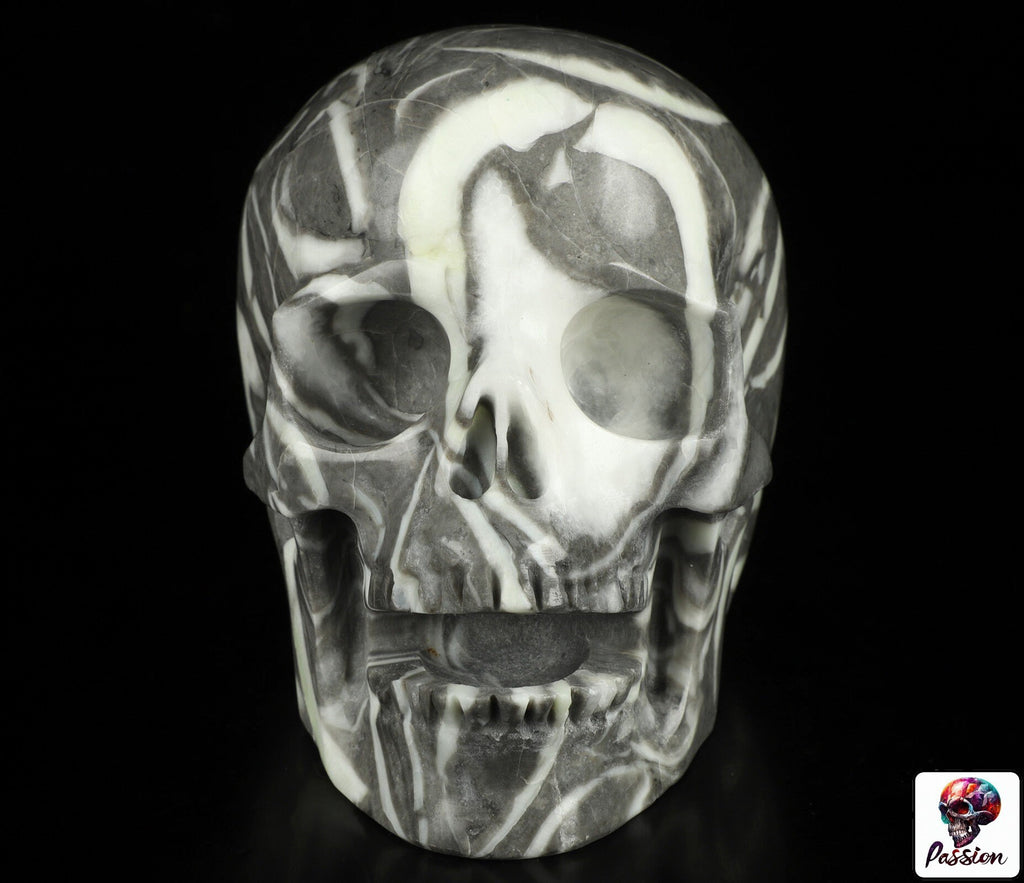 Rare Fossile de Palourde coquillage  , crâne de pierre  CHANTEUR  collection /  SchÄdel , Craneo , Singing Skull ,  Crystal Skull