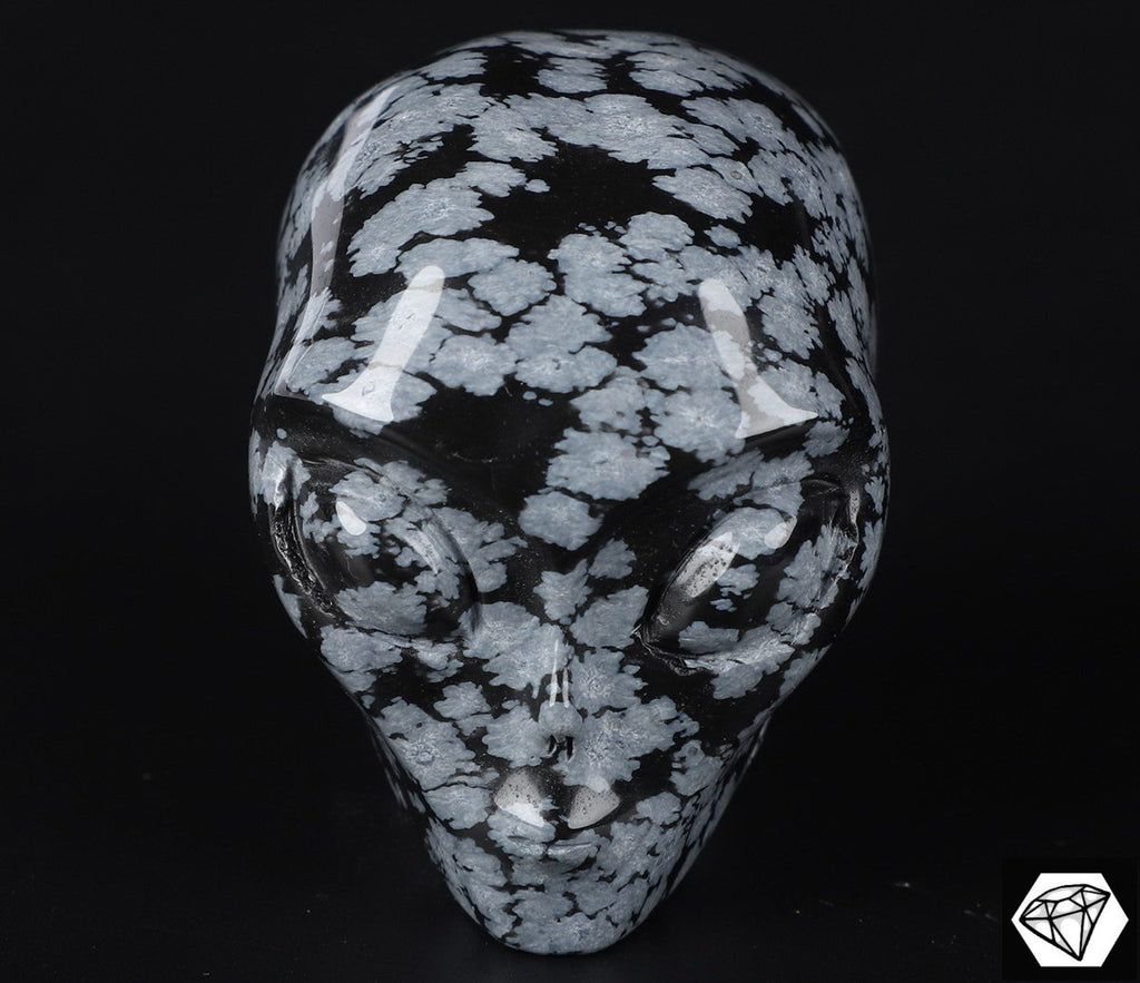 Obsidienne Flocon  /Crâne pierre naturelle de collection / décoration  Skull , Cranio , SchÄdel , Craneo Crystal Skull
