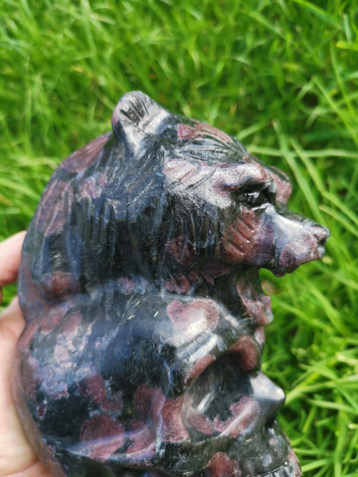 Grenat Almandin  -> pierre naturelle , Magnifique sculpture Crâne a tête d'OURS
