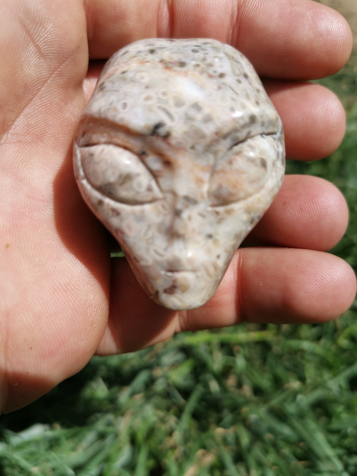 Crâne alien en pierre à fossiles de crinoïdes · Pièce unique · 50 mm