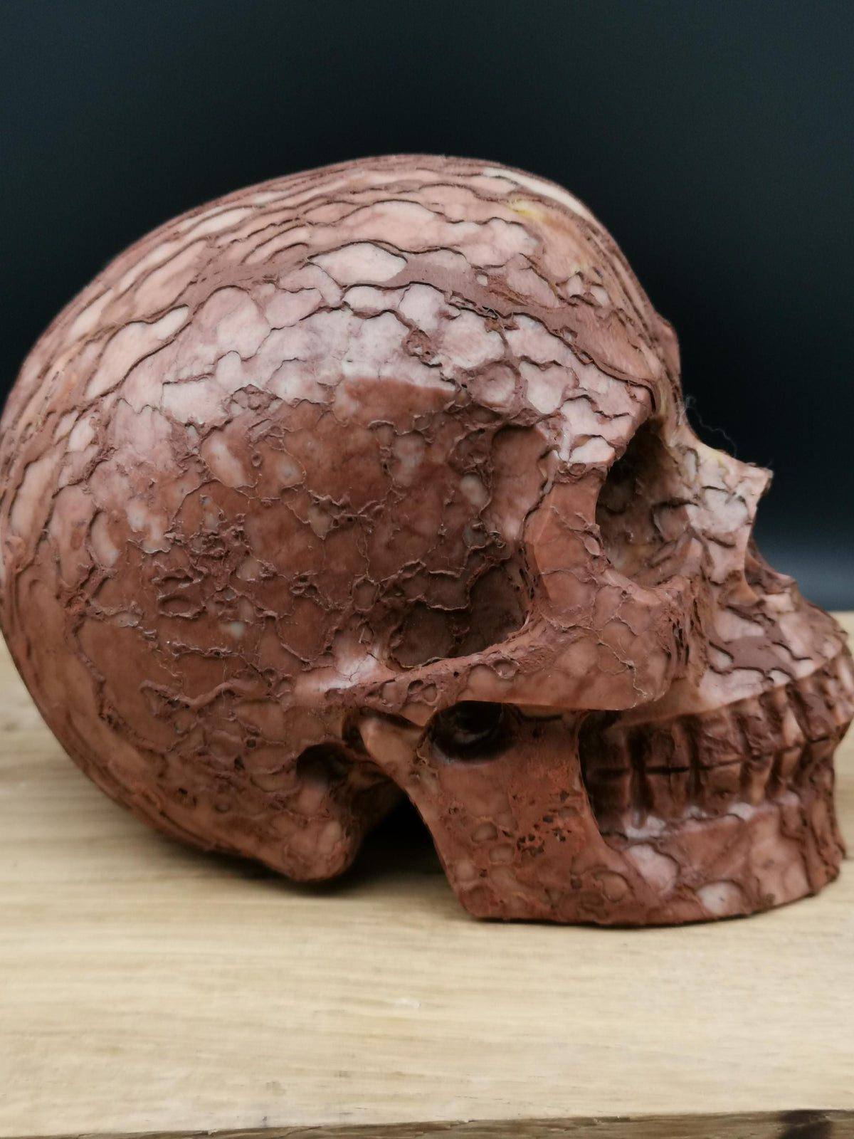 Jaspe 3D Art  / Crâne de pierre naturelle , Memento mori / Cabinet de curiosité / lithothérapie / méditation
