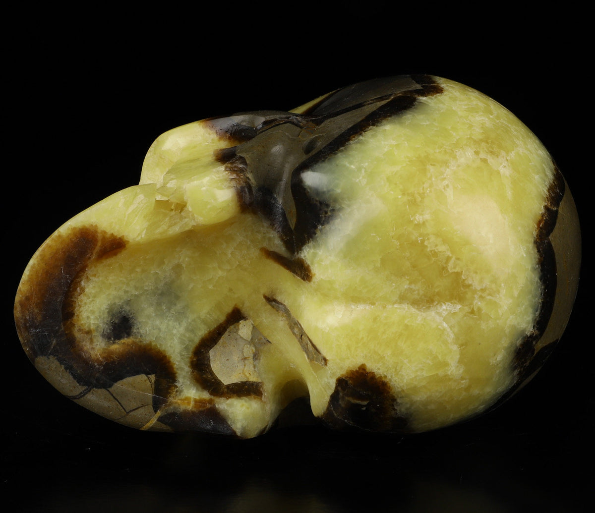 SEPTARIA Drakensteen , XL schedel van natuursteen , handgesneden Topkwaliteit , Cranio , SchÄdel , SKULL Kristallen schedel