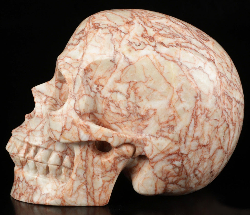 Jaspe Network nervuré rouge ,Crâne de pierre naturelle XL  / lithothérapie / méditation / Memento mori