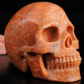 Calcite Orange / Sculpture en Crâne de pierre naturelle , couleur parfaite / Vanité / Memento Mori