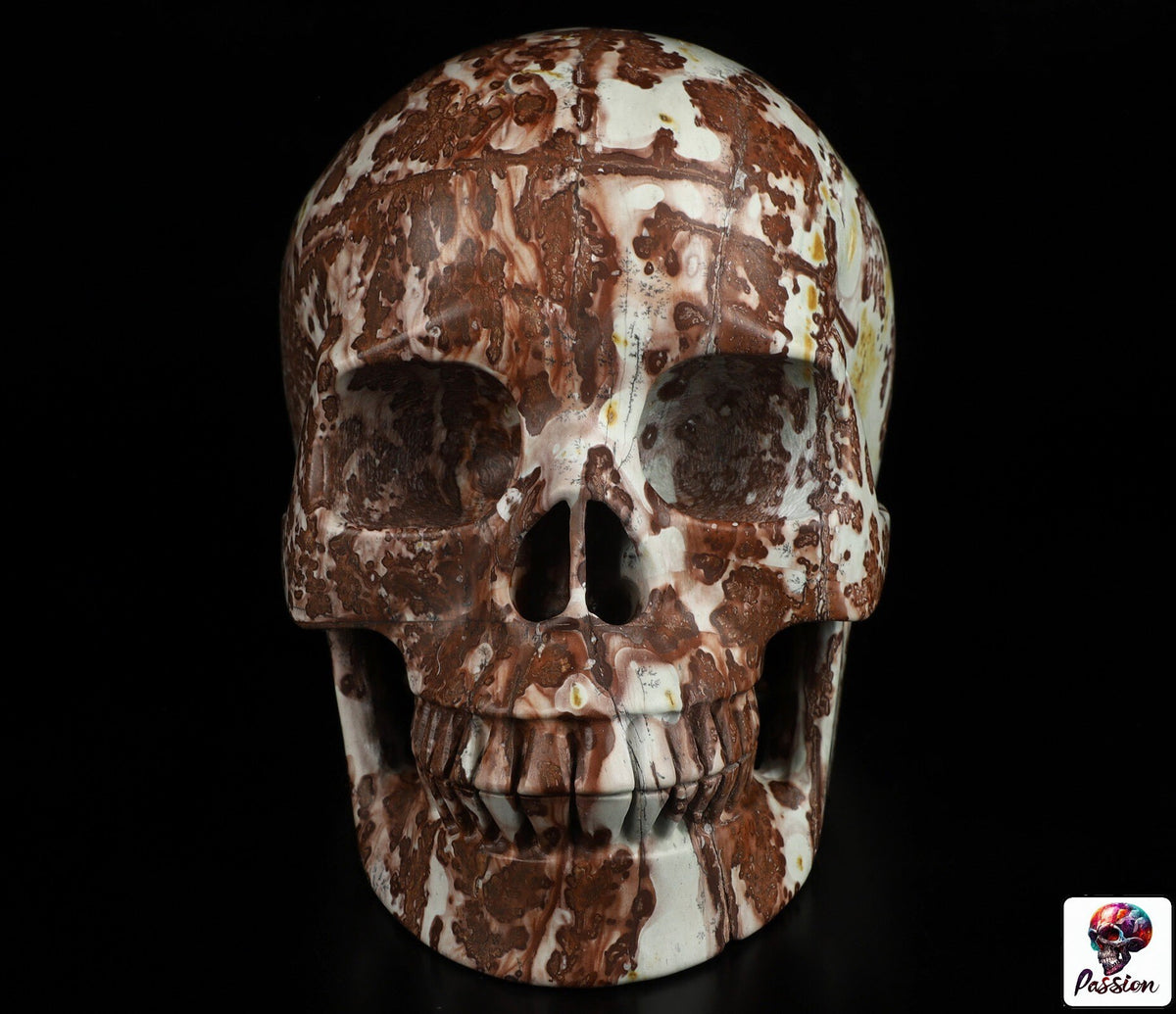 Jaspis krajobrazowy, rzeźba czaszki XL z naturalnego kamienia kolekcjonerskiego / Gabinet osobliwości / Memento mori