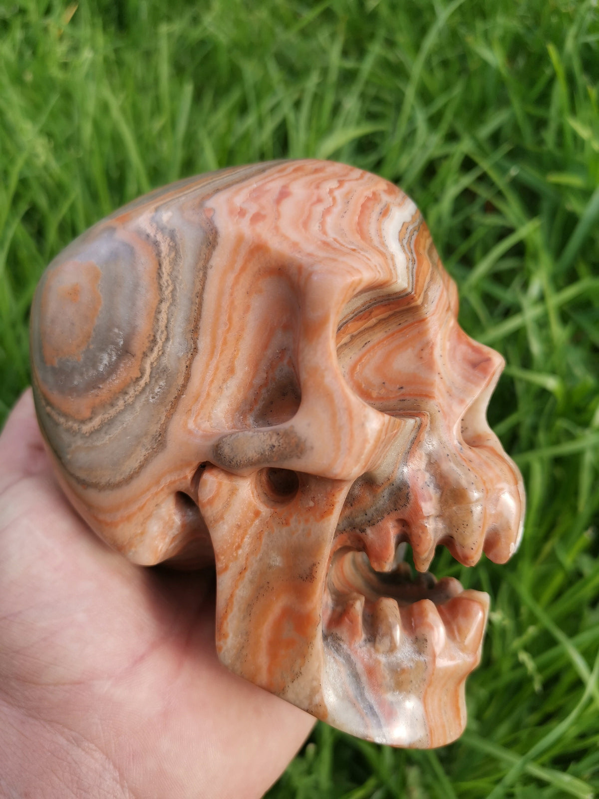 Red Veined Wood-Type Calcite / Skull in Fury / collectible natural stone, Skull collector Crystal Skull