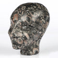 Fossiele crinoïde - > ELF / Fee / AVATAR , hoofd gesneden uit natuursteen