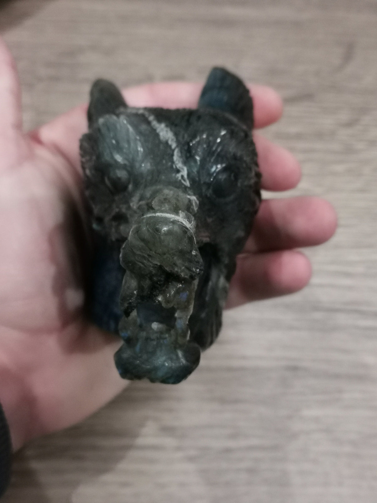Tête de Loup féroce , Sculpture en Labradorite / Madagascar
