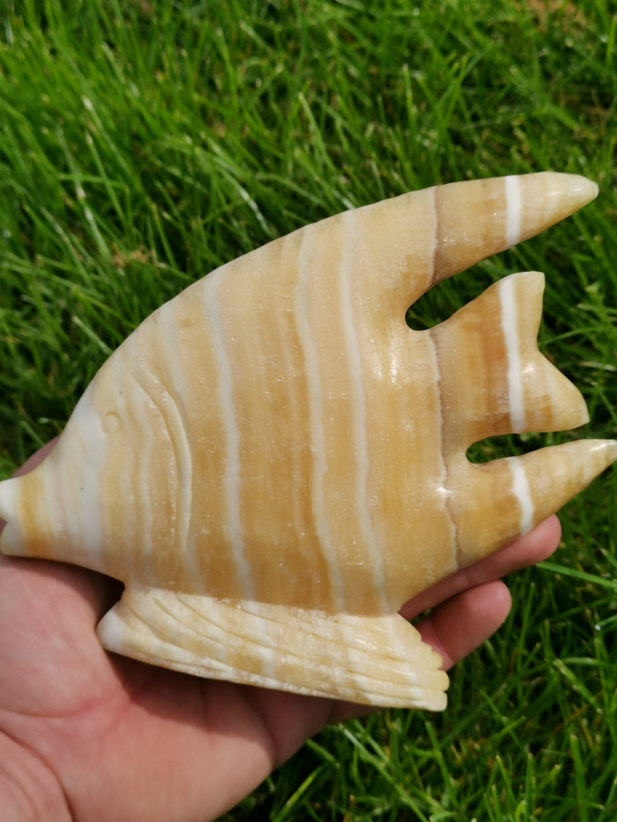 Sculpture Poisson En pierre naturelle calcite Jaune a bande ( Scalaire ? )
