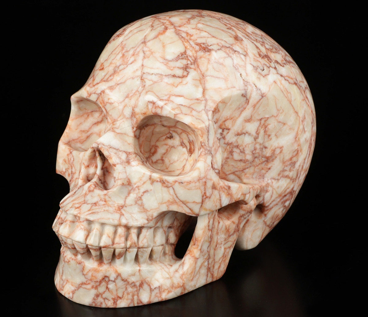 Jaspe Network nervuré rouge ,Crâne de pierre naturelle XL  / lithothérapie / méditation / Memento mori