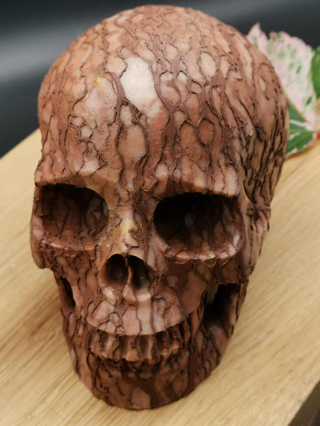 Jaspis 3D Art / Schedel van natuursteen, Memento mori / Kabinet van rariteiten / lithotherapie / meditatie