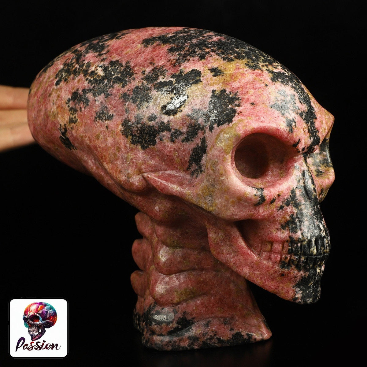 Rodoniet  6,5 inch ,  Sculptuur AALIEDEN Kristallen Schedel  / Maya Reizende Schedel / lithotherapie / Schedel ; Cranio , Kristalloden Schedel