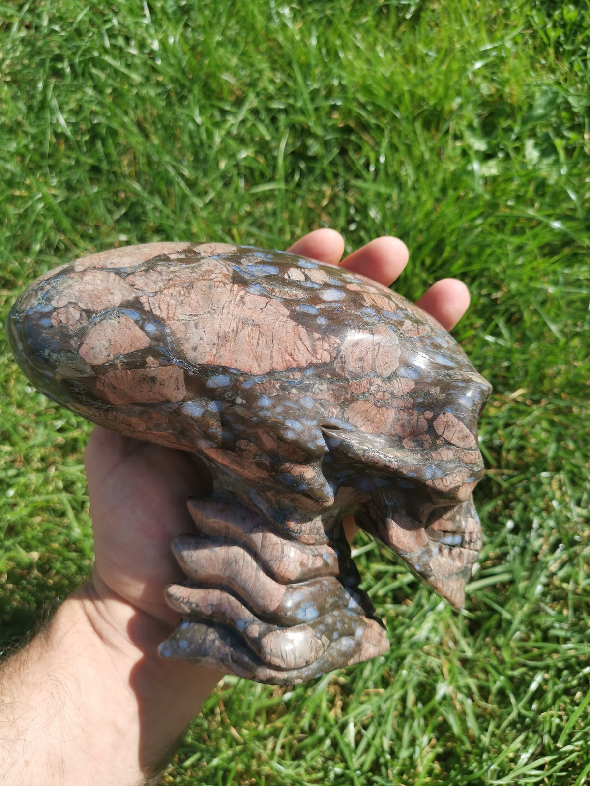 Opalenblauw; Que sera llanite, sculptuur van een langgerekt ALIEN-schedel / MAYA-reizigerschedel / lithotherapie / schedel; Cranio,