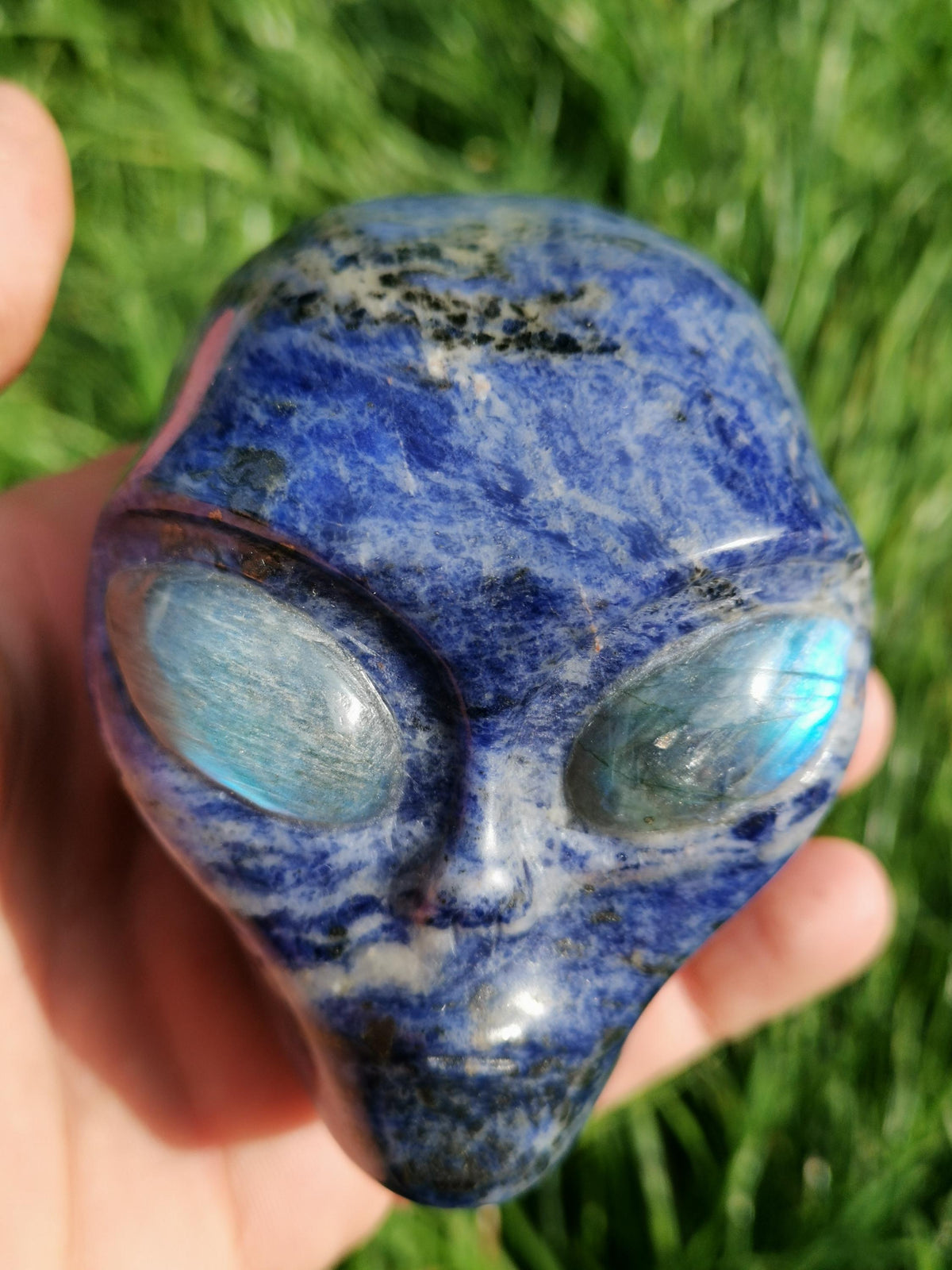 Sodalite ->  Scultura Testa extraterrestre , Tipo Roswell  / collezione / Litoterapia / Decorazione