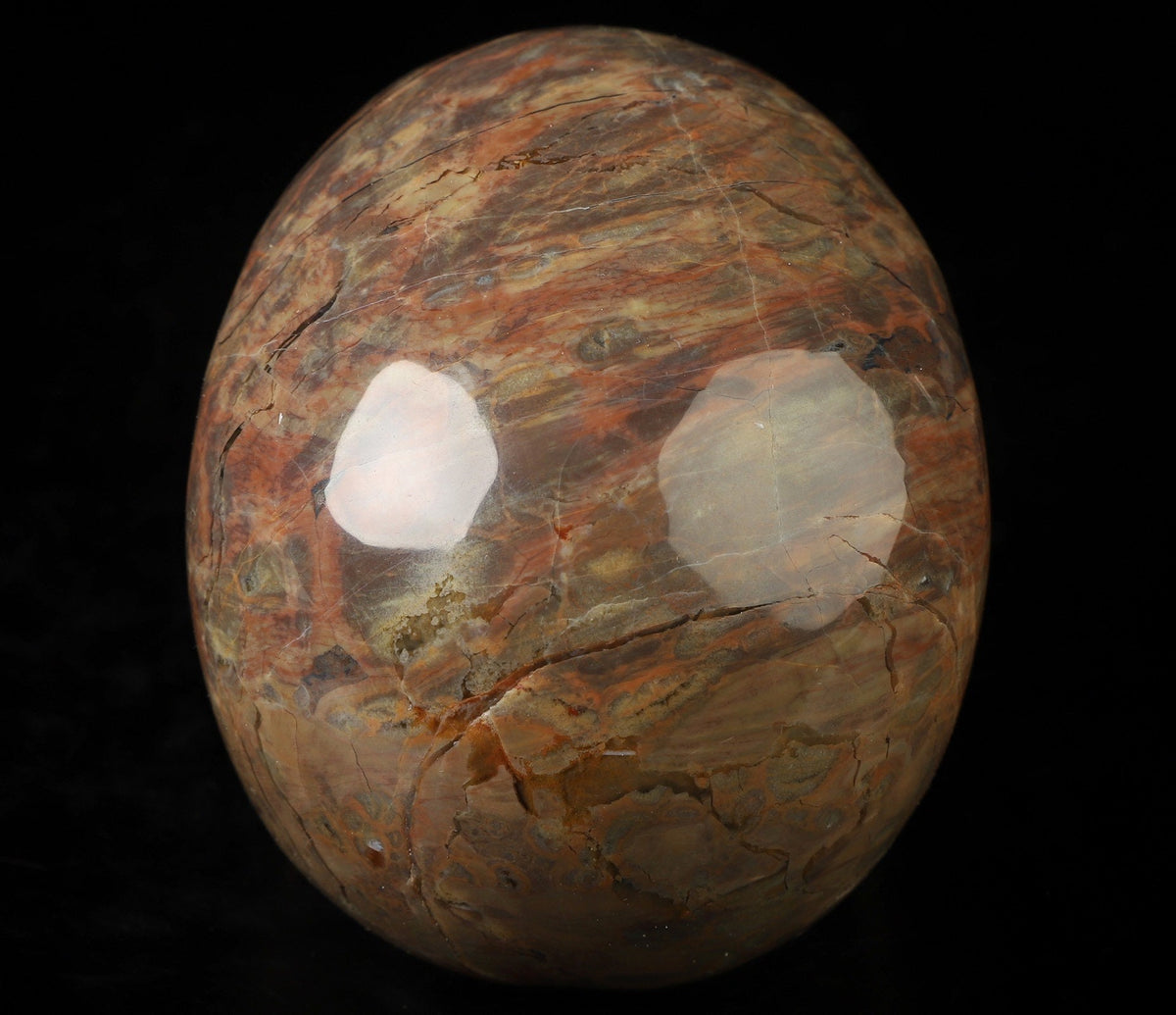 Agate known as Dinosaur Eggs, Natural Stone Skull Sculpture, Cabinet of Curiosities, Memento Mori, Vanity